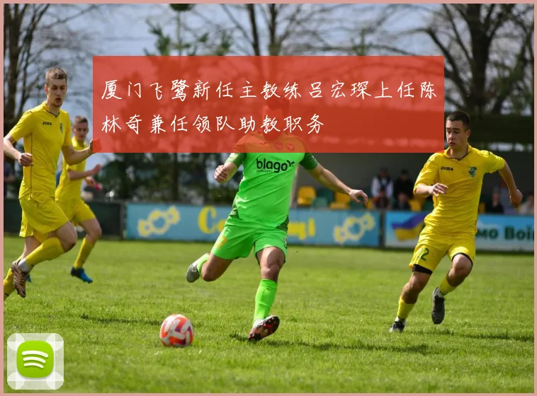 厦门飞鹭新任主教练吕宏琛上任陈林奇兼任领队助教职务