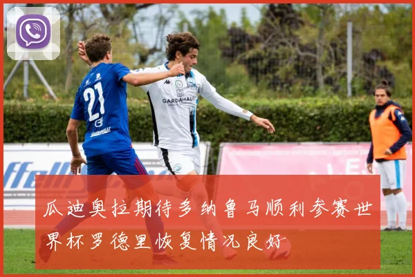 瓜迪奥拉期待多纳鲁马顺利参赛世界杯罗德里恢复情况良好